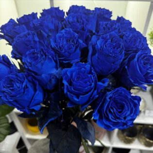 180 roses bleues
