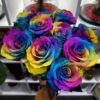 Roses arc-en-ciel