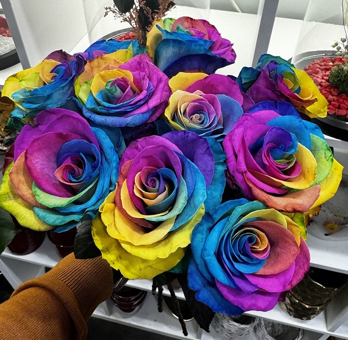 Roses arc-en-ciel