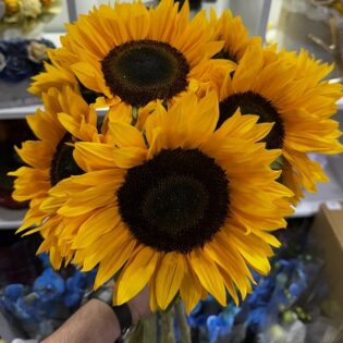 Le bouquet de Tournesols Soléa