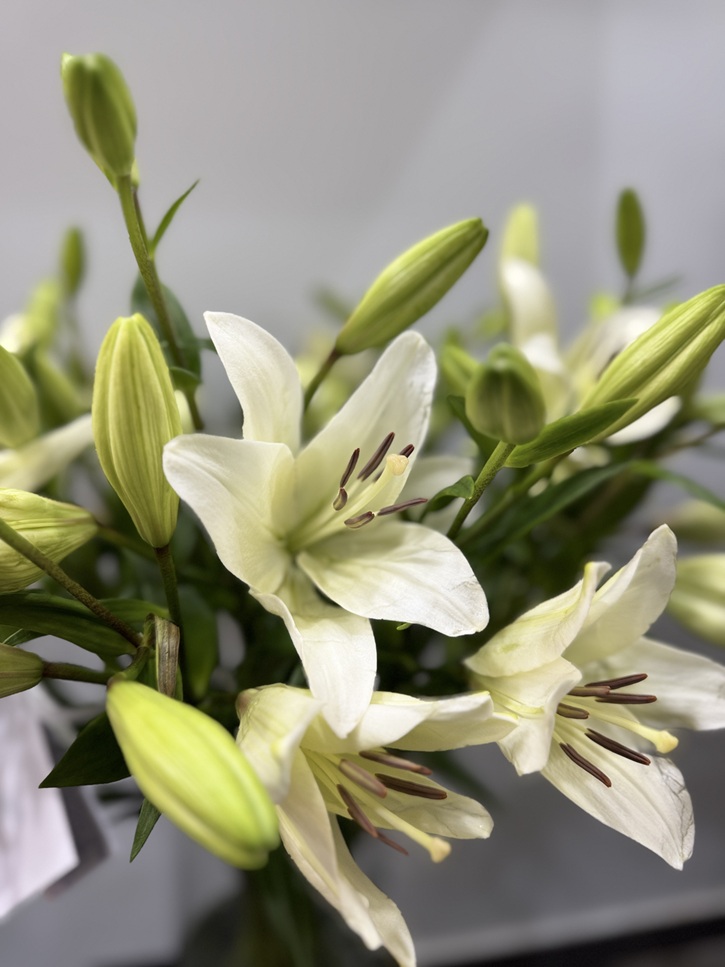 Fleurs Bruxelles