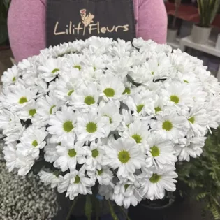 Chrysanthemes-blanches