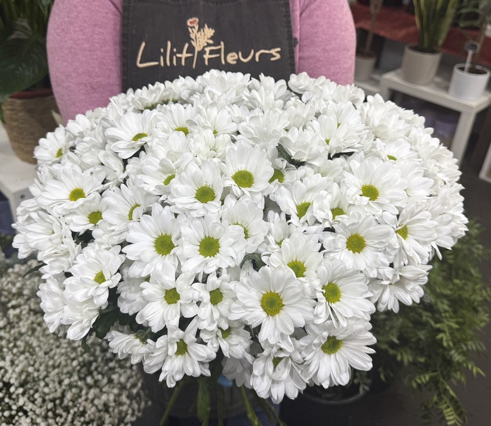 Chrysanthèmes blanches