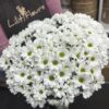 Chrysanthèmes blanches